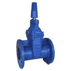 SABS 664 Resilient Seated Gate Valve With Nut Operator  PN10 / PN16